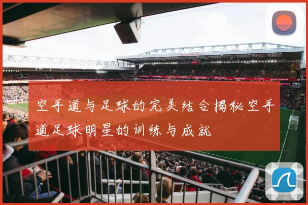 空手道与足球的完美结合揭秘空手道足球明星的训练与成就