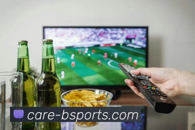 b体育平台生态图